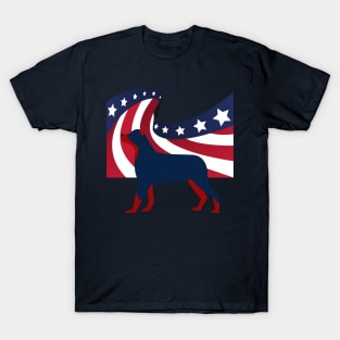 Independence day- US flag T-Shirt
